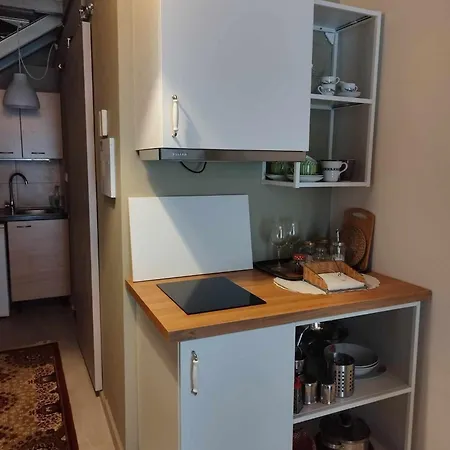 Short Loft At 公寓 *